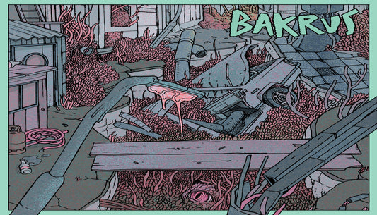 Second single release from Norwegian mountain punks Bakrus.