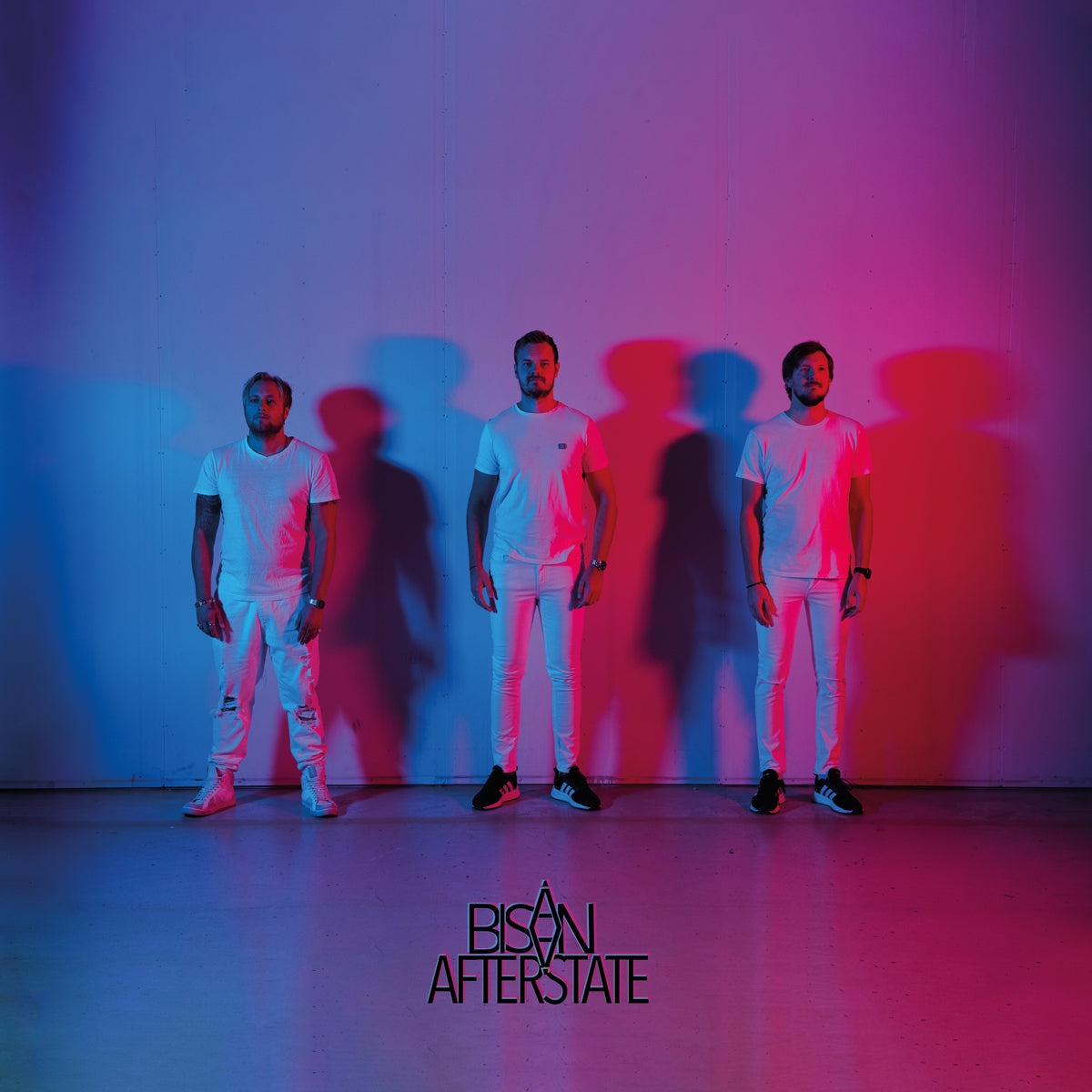 BISÅN - Afterstate (LP)