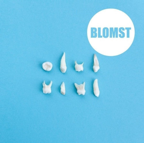 BLOMST. Blomst (CD)
